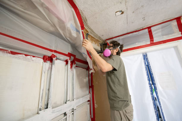 Best Black Mold Removal  in Westbrook Center, CT