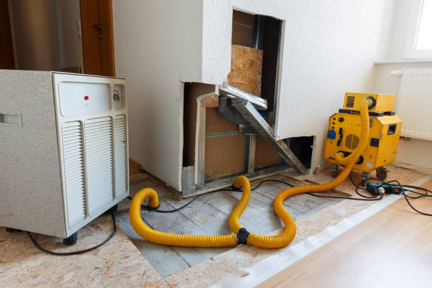 Best Residential Mold Inspection & Testing  in Westbrook Center, CT